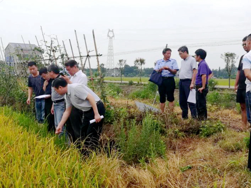 浙農金泰攜“懷農特”產品助力國家重點研發計劃課題