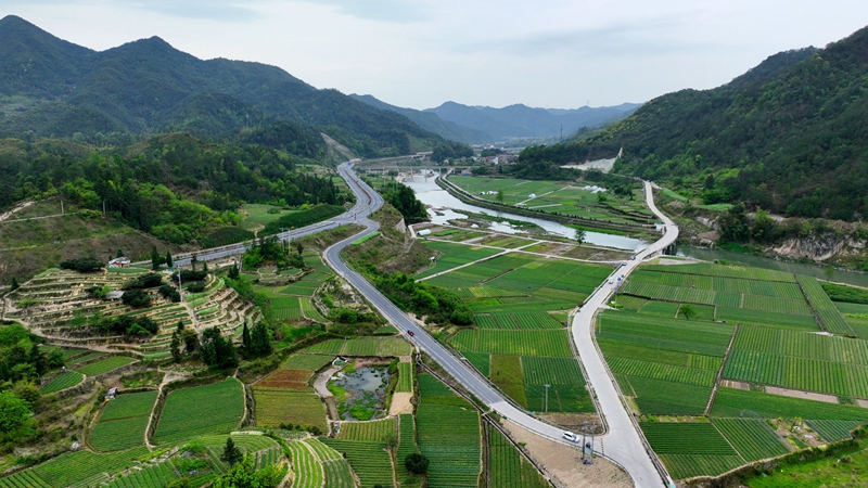 浙農浙貝母、杭白菊基地通過中藥材GAP延伸檢查